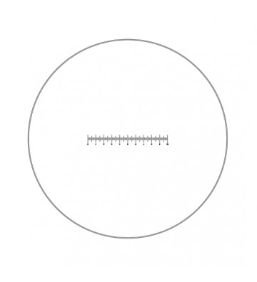Micromètre oculaire D :...
